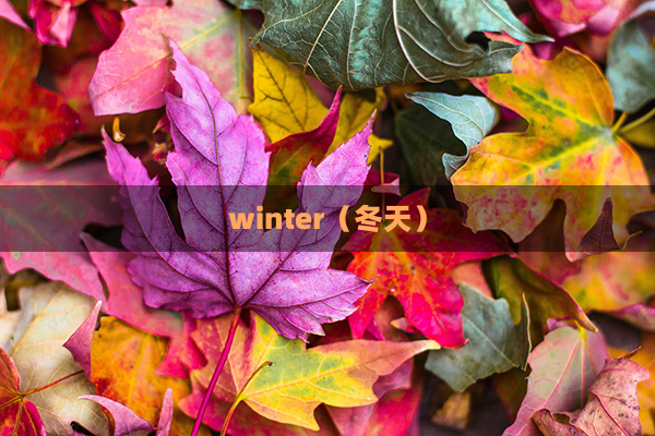 winter（<a