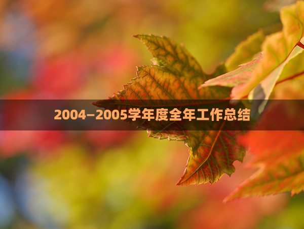 2004—2005学年度全年工作总结