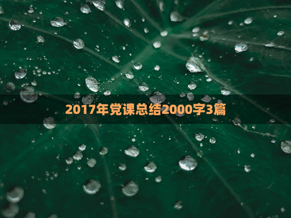2017年党课总结2000字3篇(党课总结2500字)