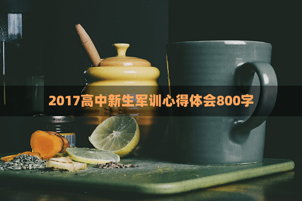 2017高中新生军训心得体会800字