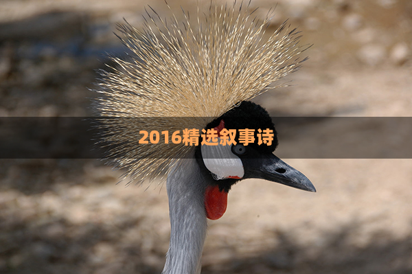 2016精选叙事诗
