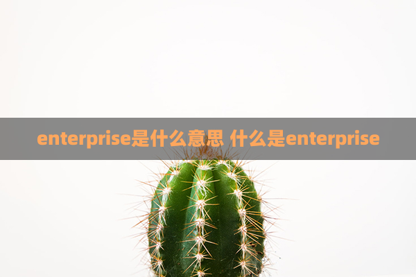 enterprise是什么意思 什么是enterprise