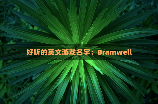 好听的英文游戏名字：Bramwell