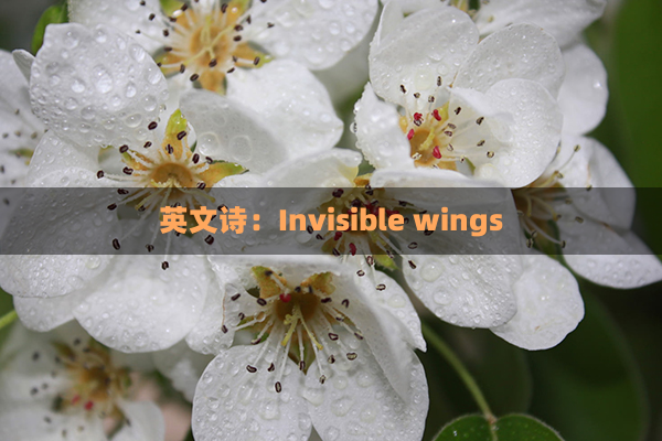 英文诗：Invisible wings(英文诗childhood)
