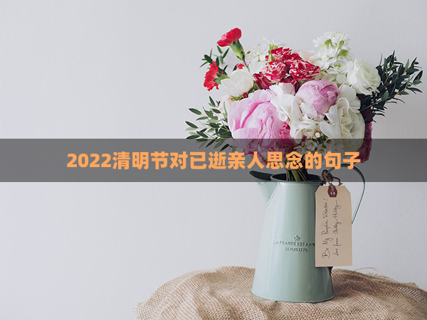 2022清明节对已逝亲人思念的句子(元宵节对已逝亲人思念的句子)