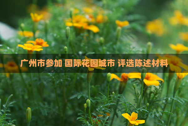广州市参加 国际花园城市 评选陈述材料