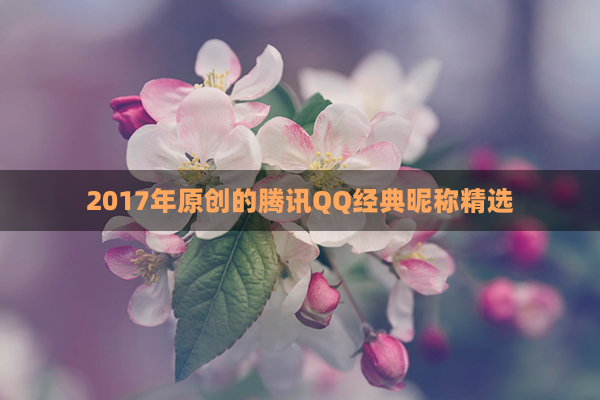 2017年原创的腾讯QQ经典昵称精选