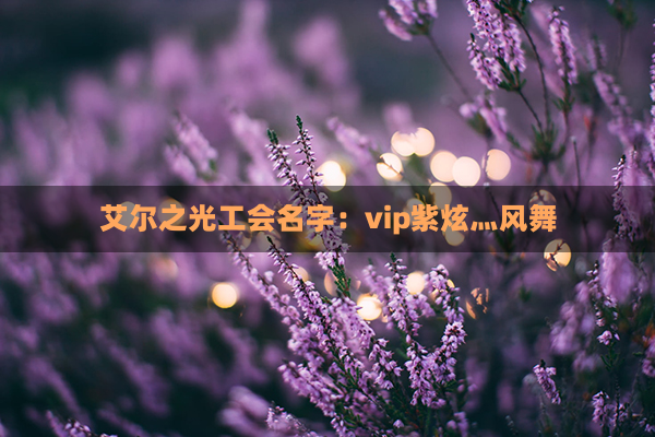 艾尔之光工会名字：vip紫炫灬风舞