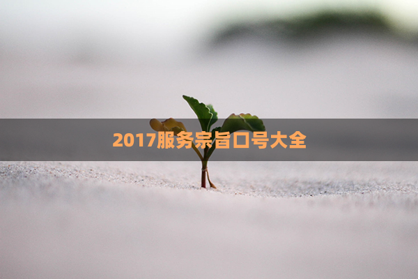 2017服务宗旨口号大全(快餐服务宗旨口号)