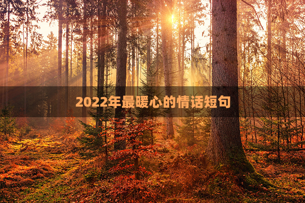 2022年最暖心的情话短句(简短情话最暖心短句)