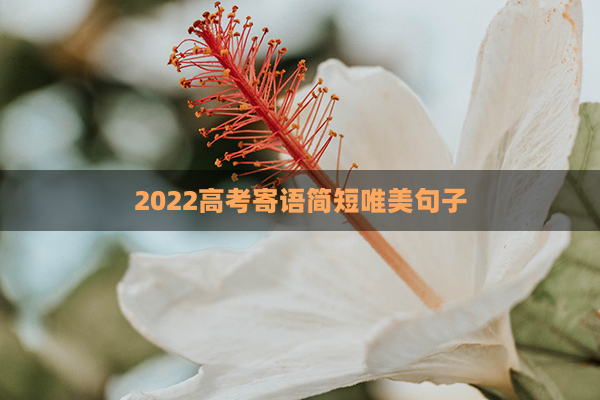 2022高考寄语简短唯美句子(2020高考寄语或鼓励的话简短)