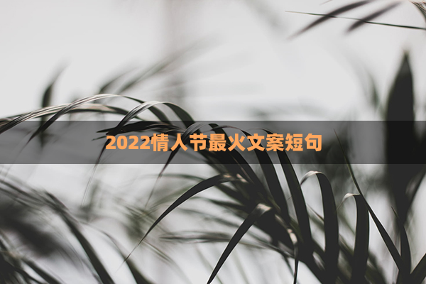 2022情人节最火文案短句(情人节语录文案)