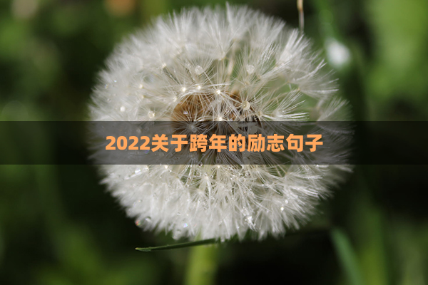 2022关于跨年的励志句子(2022励志跨年文案)