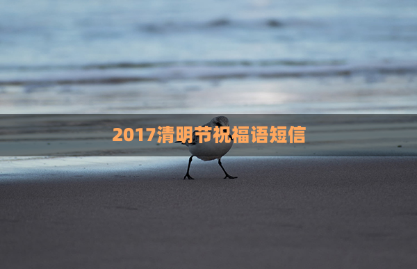 2017清明节祝福语短信(情人节短信祝福语)