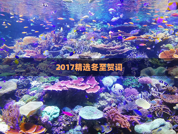 2017精选冬至贺词